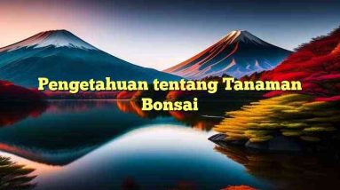 Pengetahuan tentang Tanaman Bonsai