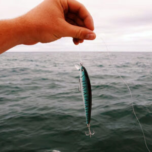 teknik memancing ikan besar di laut